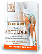 framework for the shoulder